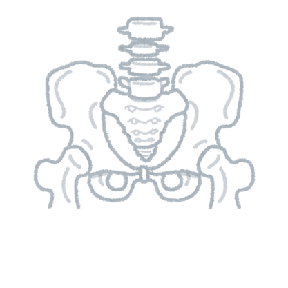 背骨や骨盤の歪み